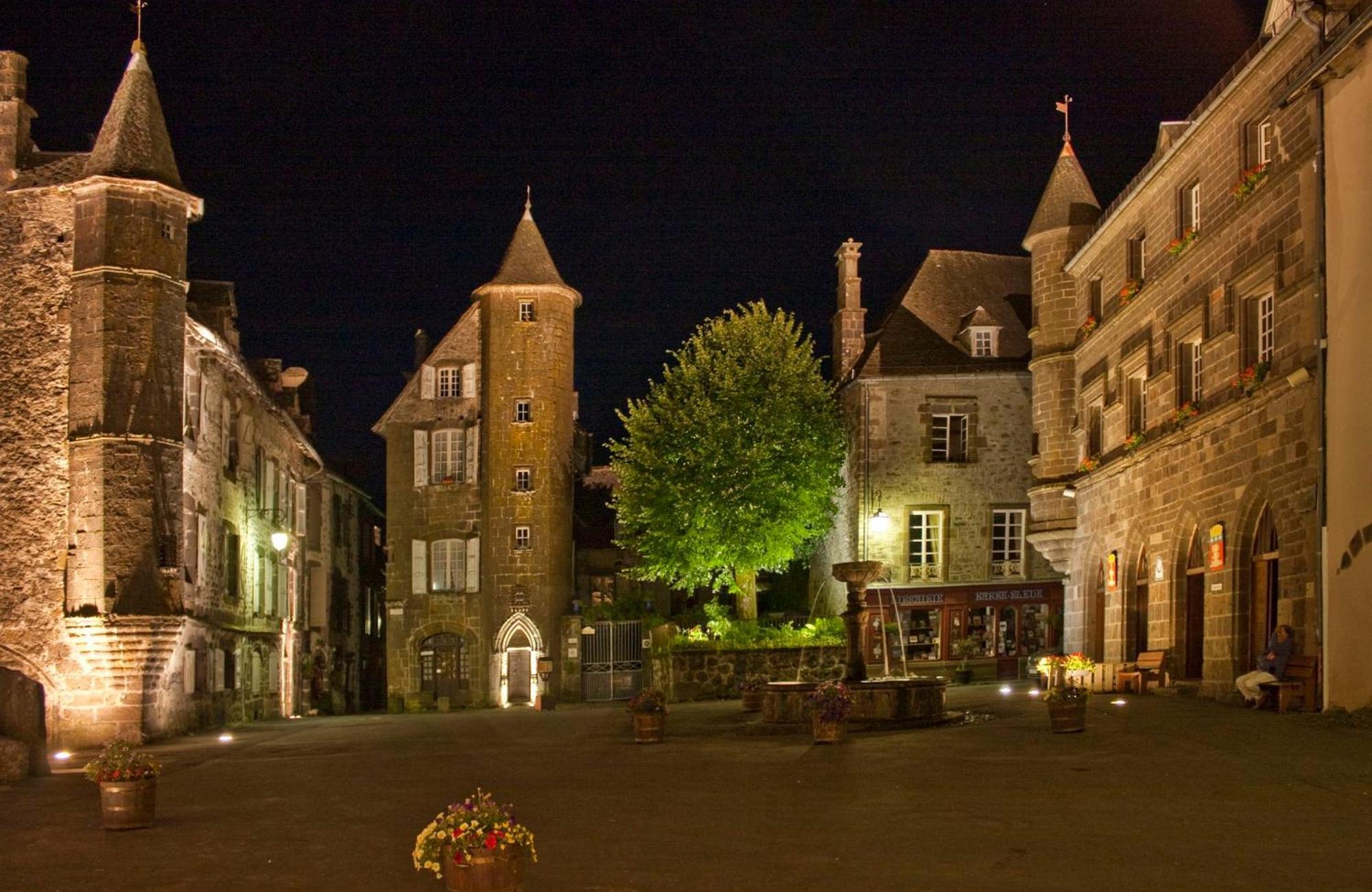Logis Hotel Restaurant & Spa Les Remparts Салер Экстерьер фото